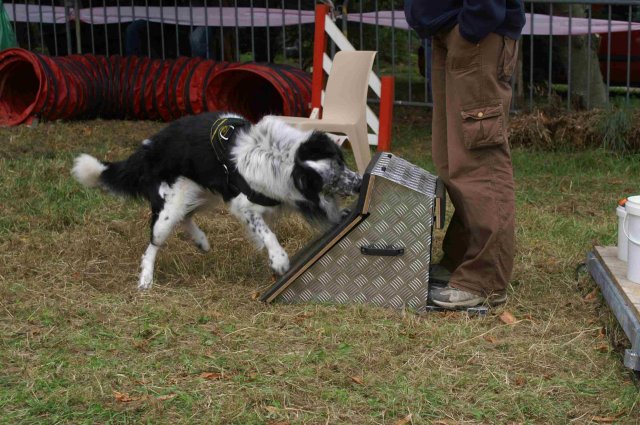 foire-haricots 2011-09-17et18